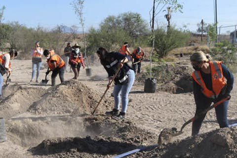 A group of people digging in the dirt